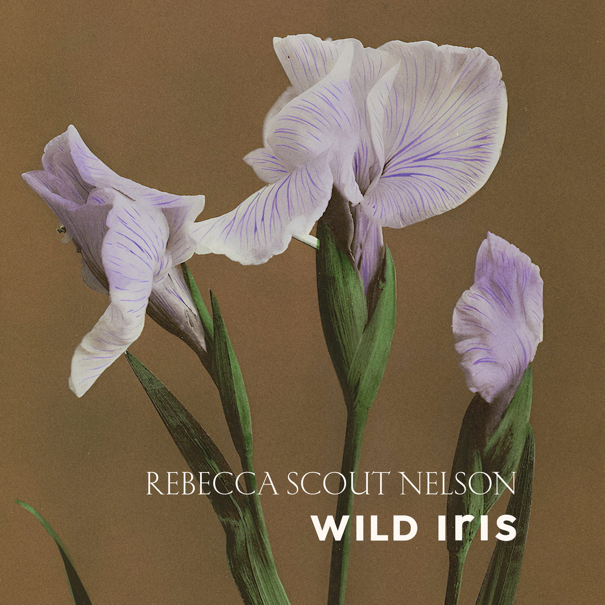 Rebecca Scout Nelson: WILD IRIS- VINYL