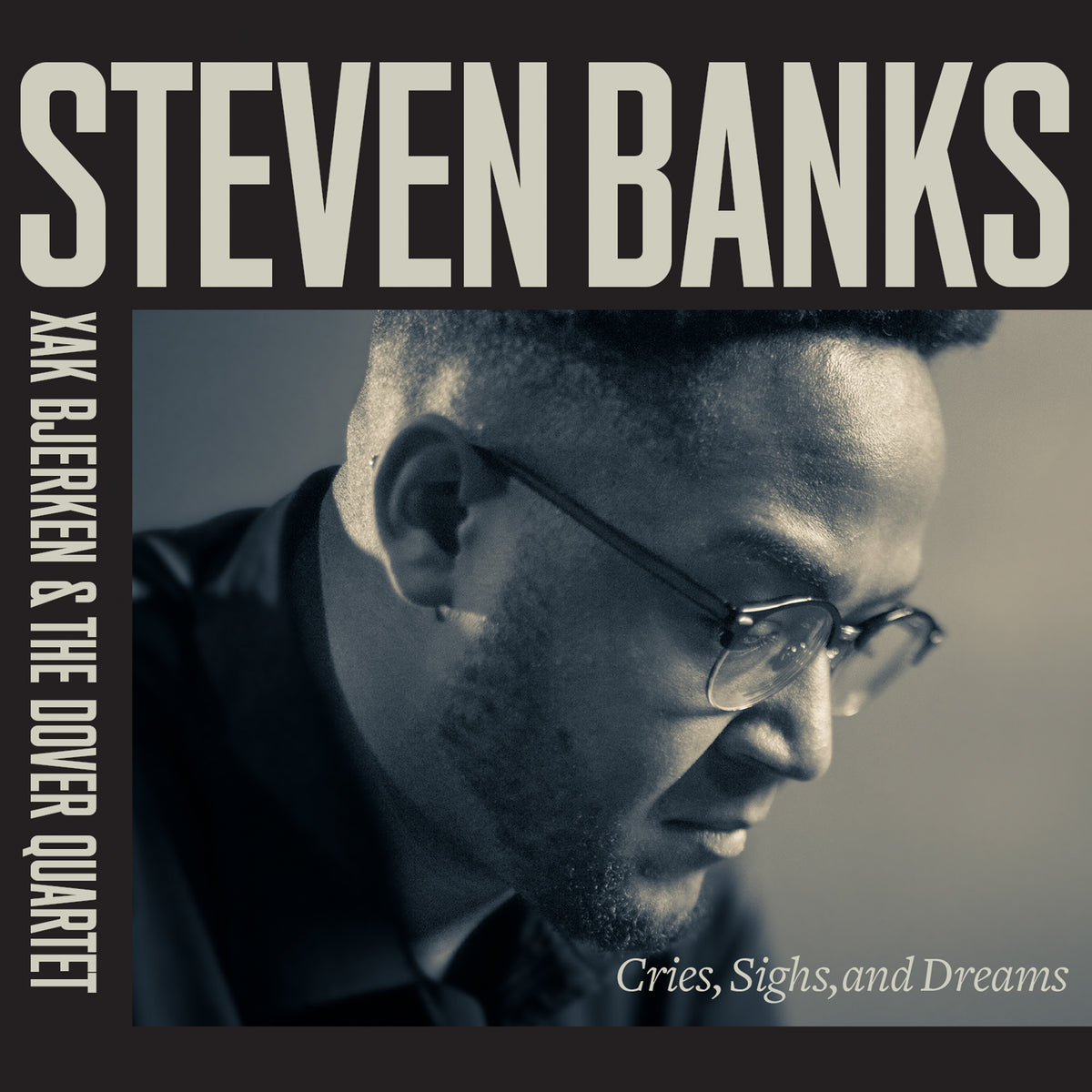 Steven Banks: Cries Sighs and Dreams